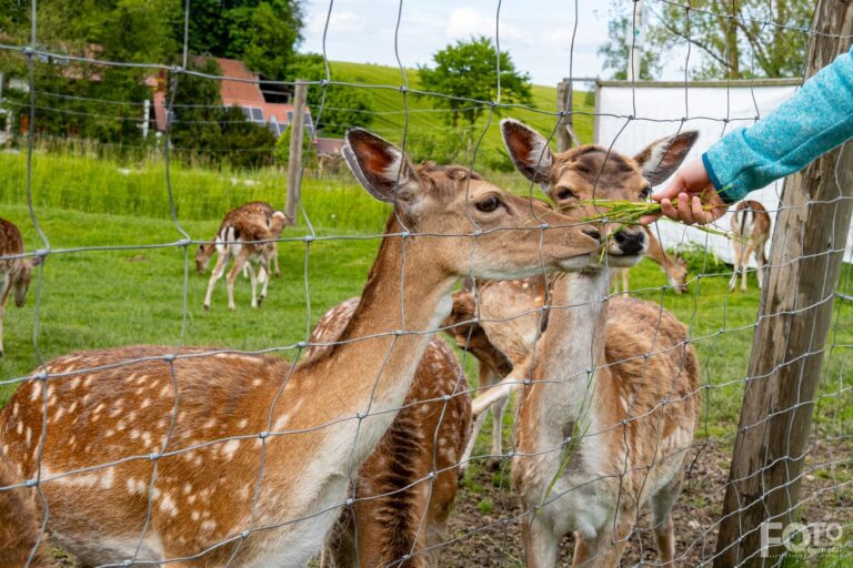Radtour 002 – Familienrunde in der VG Furth