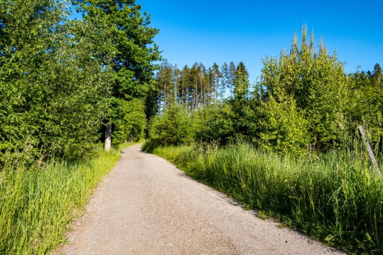 Radtour 005 – Bucher Graben Waldautobahn nach Altdorf
