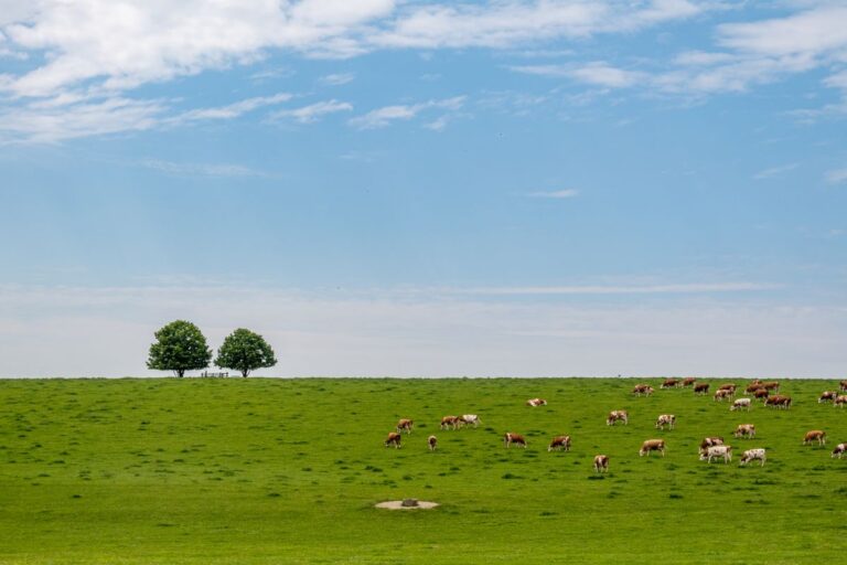 Radtour 007 – ILE-Radweg