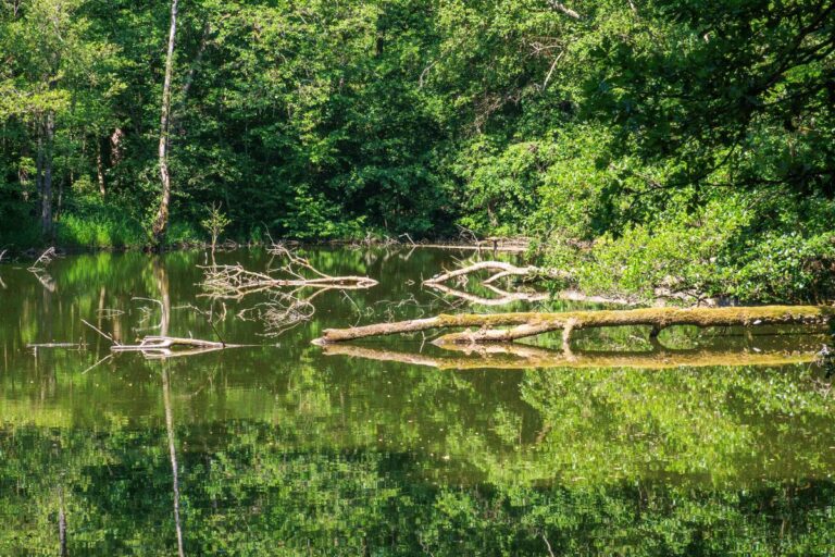 Radtour 011 – Pfeffenhausener Acht (MTB)