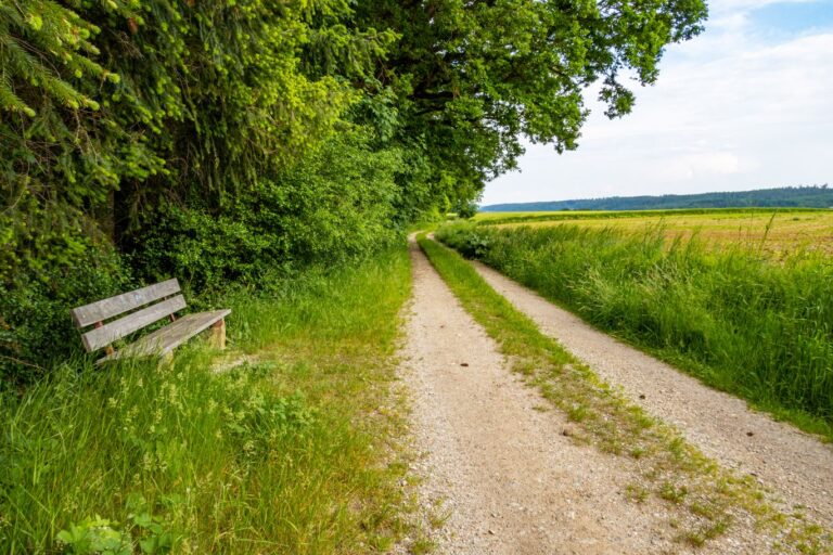 Wandertour 003 – Bankerlweg Furth – Arth St. Katharina