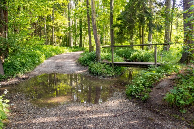 Wandertour 004 – Bucher Graben mit Einkehr in Eugenbach