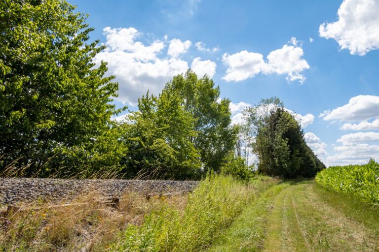 Wandertour 006 – Bankerlweg Oberneuhausen